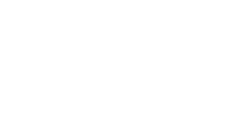 Speedy Sparky